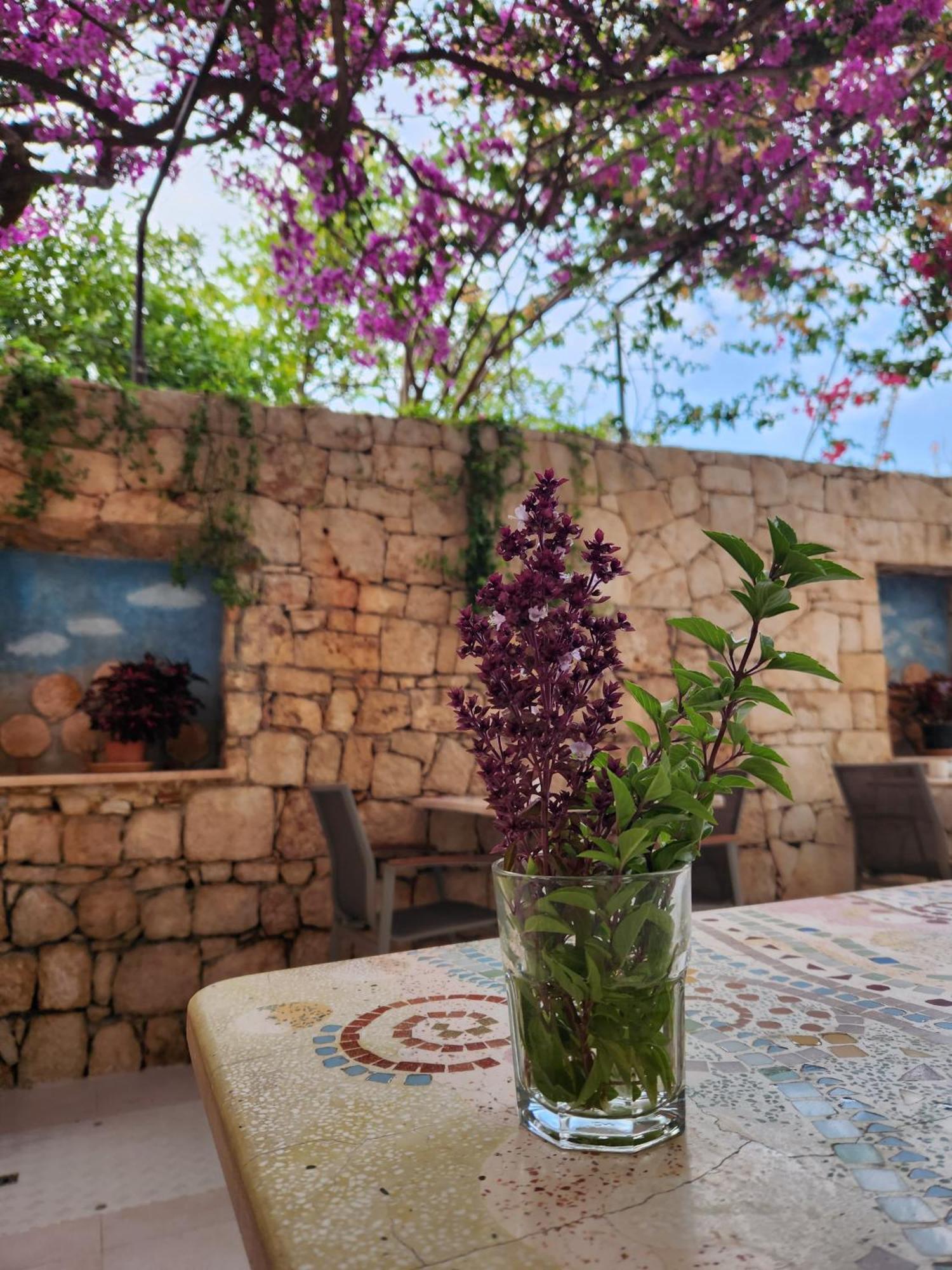 Hotel Begonvil Kas Exterior photo
